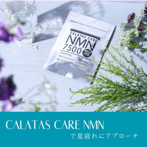 NMNで夏疲れにアプローチする方法を紹介したコラム