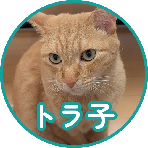 名前